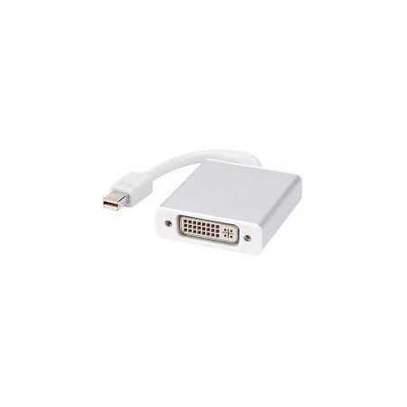 ADAPTATEUR MINI DISPLAY PORT VERS DVI