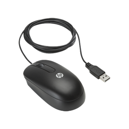 Souris Optique USB HP (QY777A6)