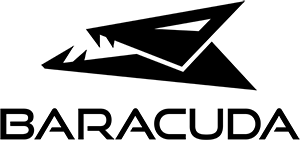 barracuda